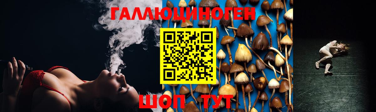 Галлюциногенные грибы мицелий  Галлюциногенные грибы MAGIC MUSHROOMS  Вход с VPN  Находка 